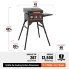 17-griddle-wcart-hood-529412